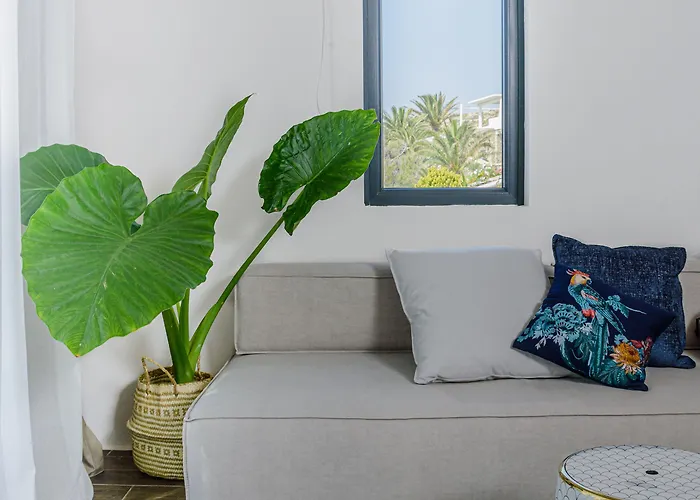 ベッド・アンド・ブレックファスト Maregold Mykonos Micro-boutique Suites, Adults Only 4*